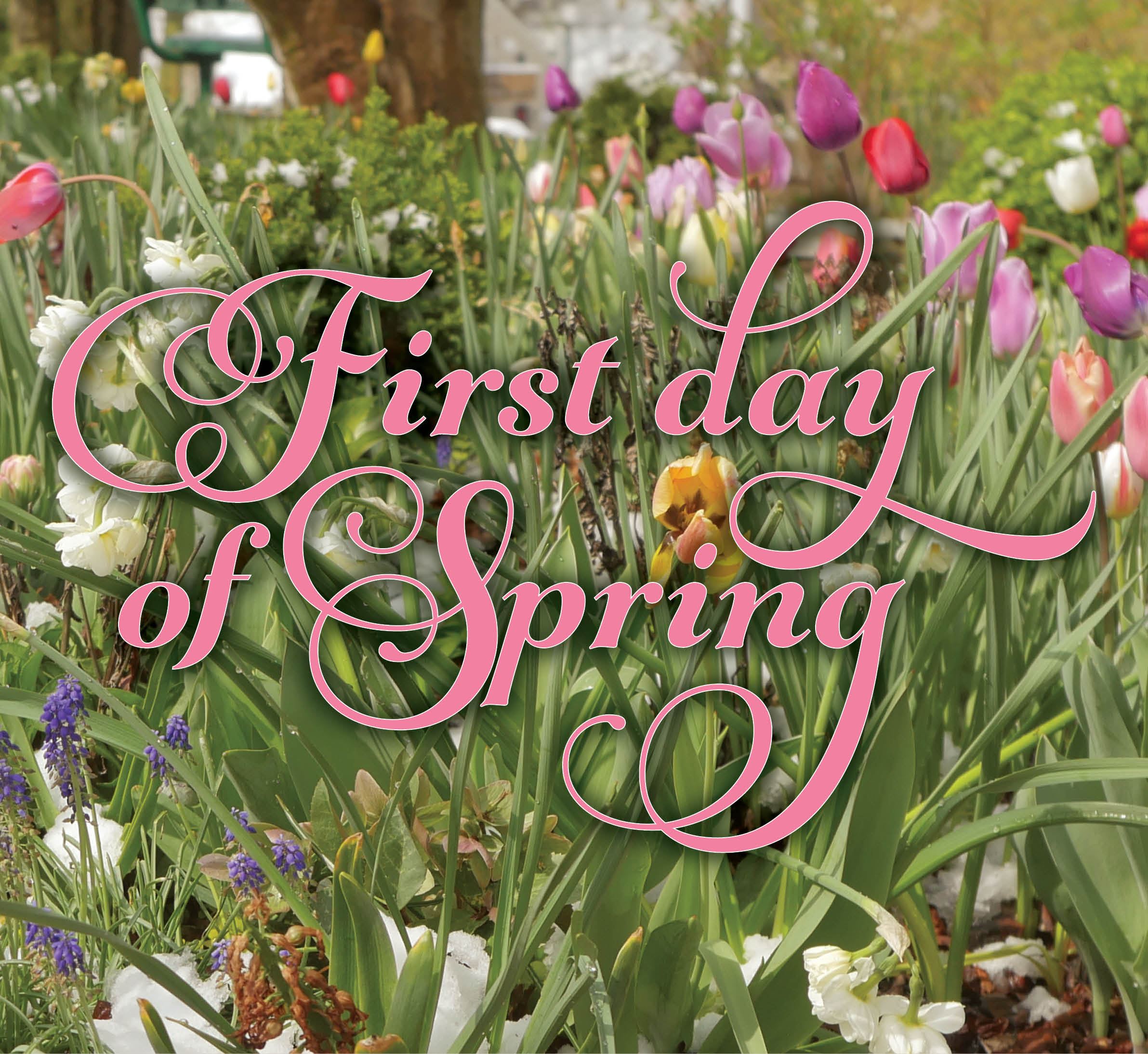 First Day of Spring